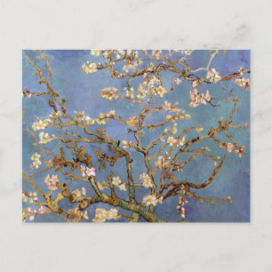 Van Gogh Almond Blommar Helg Vykort