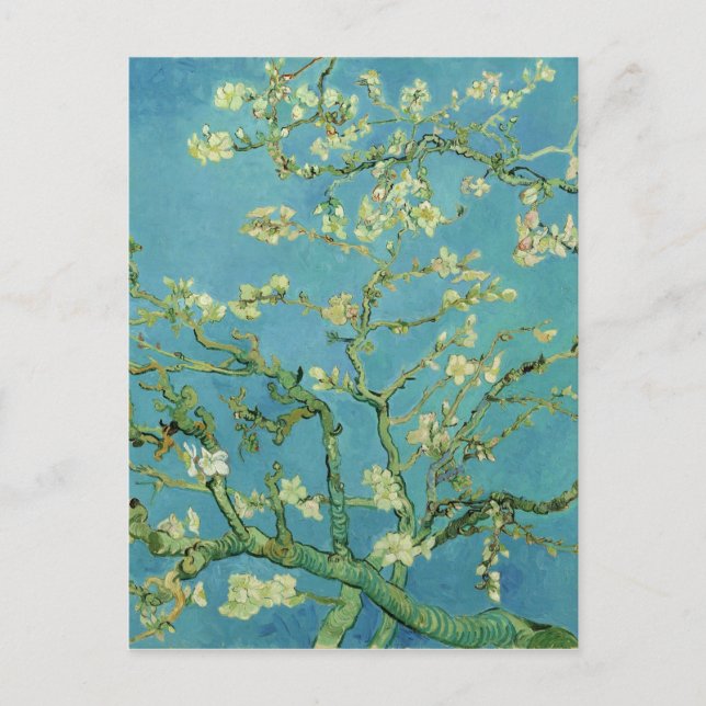 Van Gogh | Almond Blommar | Ny adress Meddelande Vykort (Framsida)