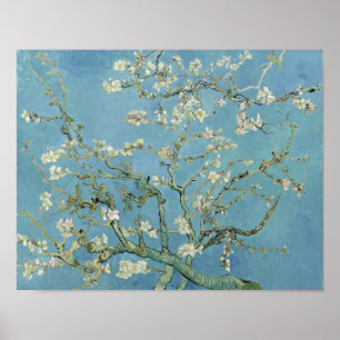 Van Gogh Almond Blommar Painting Poster