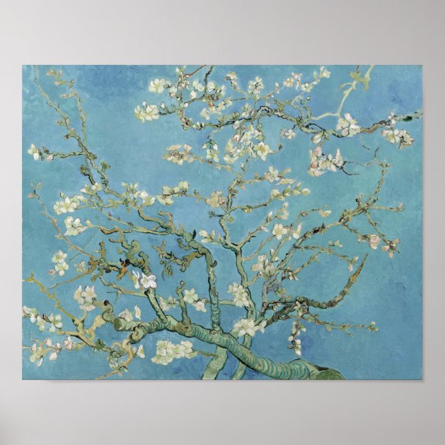 Van Gogh Almond Blommar Painting Poster (Framsidan)