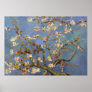 Van Gogh Almond Blommar Painting Poster