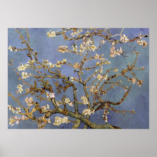 Van Gogh Almond Blommar Painting Poster (Framsidan)