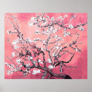 Van Gogh Almond Blommar peach rosa Poster