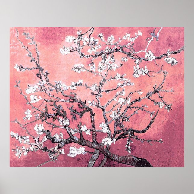 Van Gogh Almond Blommar peach rosa Poster (Framsidan)