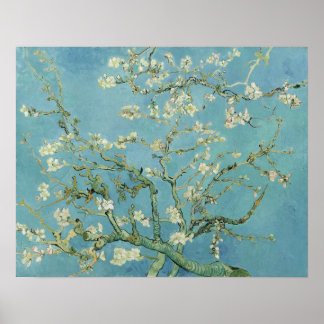 Van Gogh - Almond Blommar Poster