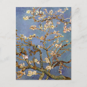 Van Gogh Almond Blommar Vykort