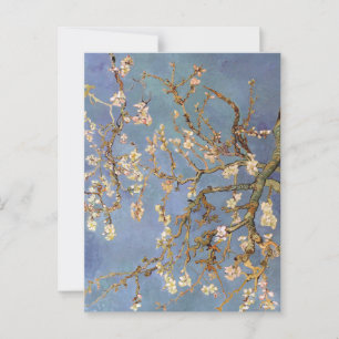Van Gogh Almond Blommar Vykort