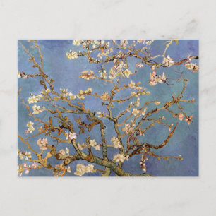 Van Gogh Almond Blommar Vykort