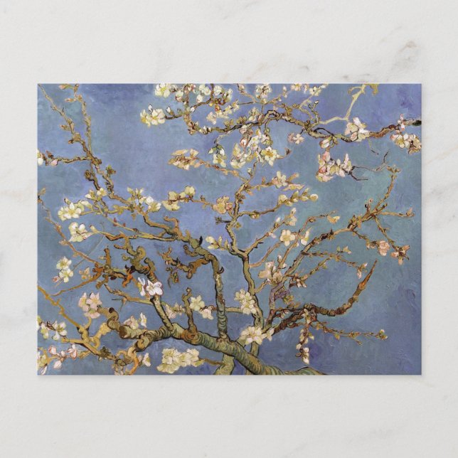 Van Gogh Almond Blommar Vykort (Framsida)