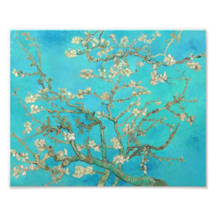 Van Gogh Almond Blommars Fototryck