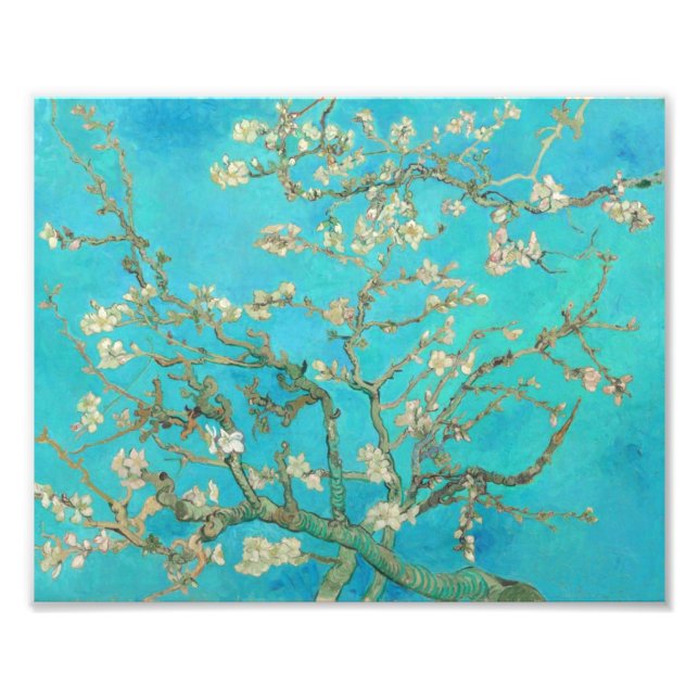 Van Gogh Almond Blommars Fototryck (Framsidan)