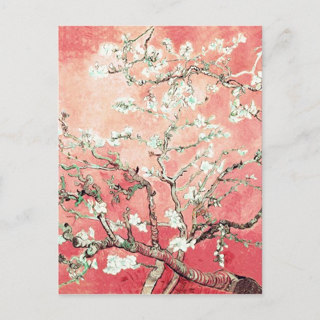 Van Gogh Almond Blommars Peach Vykort (Framsida)