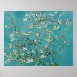 Van Gogh Almond Blommars Poster