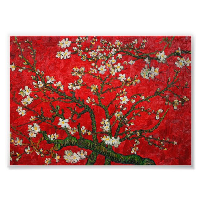 Van Gogh Almond Blommars Red Fototryck (Framsidan)
