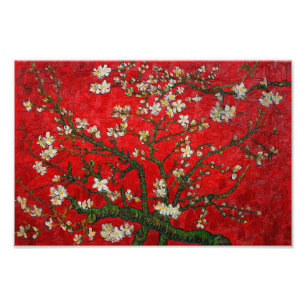 Van Gogh Almond Blommars Red Fototryck