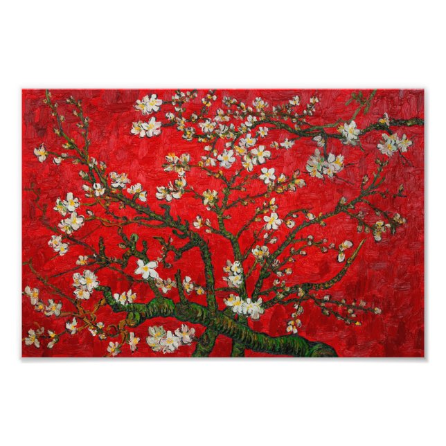 Van Gogh Almond Blommars Red Fototryck (Framsidan)