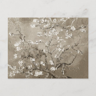 Van Gogh Almond Grenar i Bloom - Sepia Vykort
