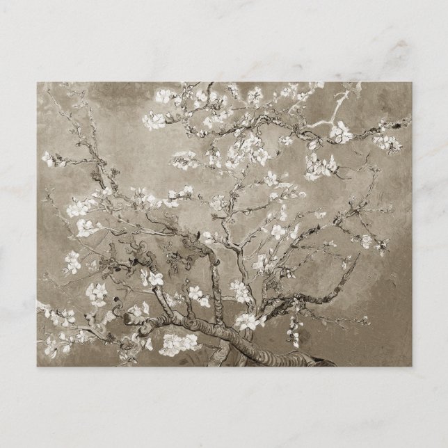 Van Gogh Almond Grenar i Bloom - Sepia Vykort (Framsida)
