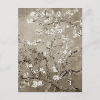 Van Gogh Almond Grenar i Bloom - Sepia Vykort