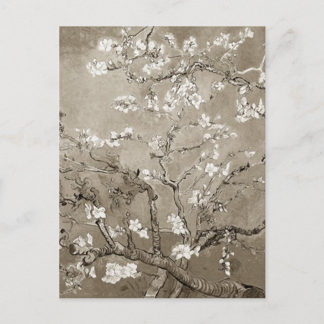 Van Gogh Almond Grenar i Bloom - Sepia Vykort (Framsida)