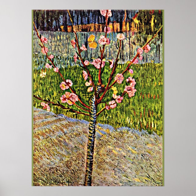 Van Gogh - Almond Träd i Blommar, populära konstve Poster (Framsidan)