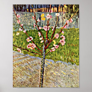 Van Gogh - Almond Träd i Blommar Poster