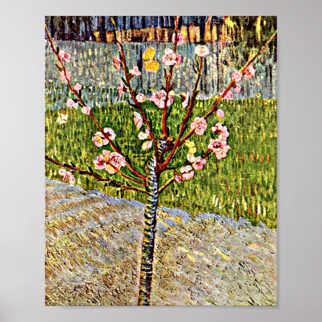 Van Gogh - Almond Träd i Blommar Poster (Framsidan)