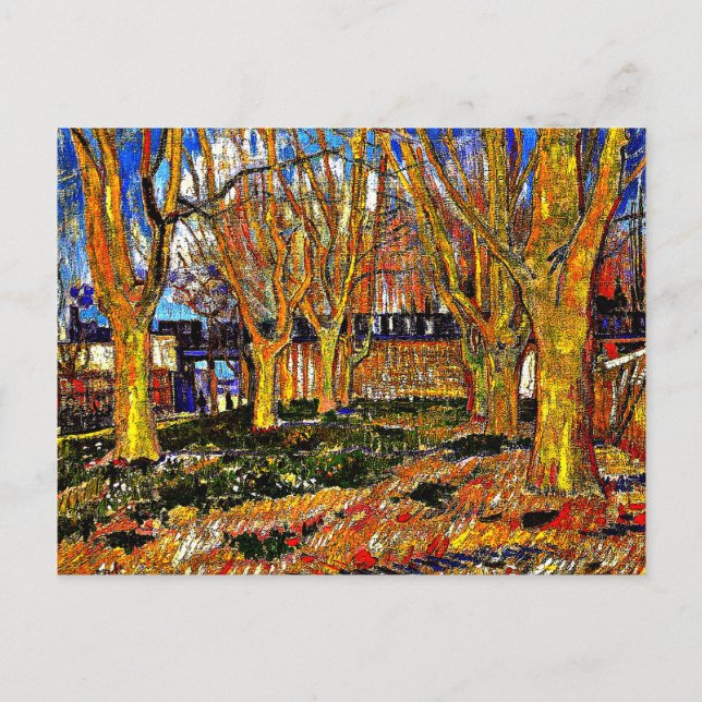 Van Gogh - Avenue of Flygplan Träd Vykort (Framsida)