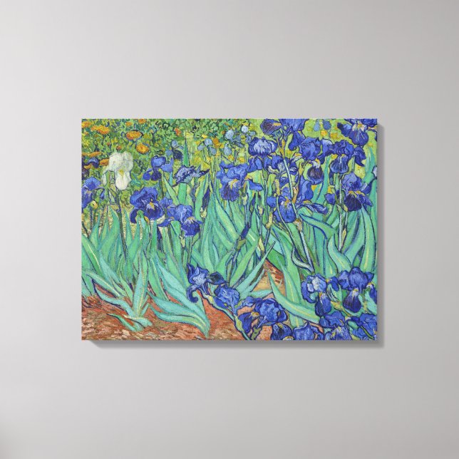 Van Gogh Berömda Blå Iriser Blommig Oljemålning Canvastryck (Framsida)