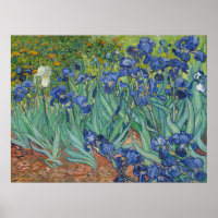 Van Gogh Berömda Blå Iriser Blommig Oljemålning