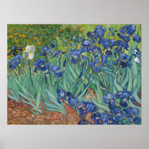 Van Gogh Berömda Blå Iriser Blommig Oljemålning Poster