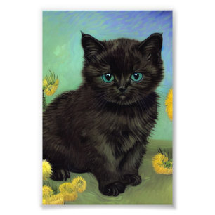 Van Gogh Black Cat Gula blommor Fototryck