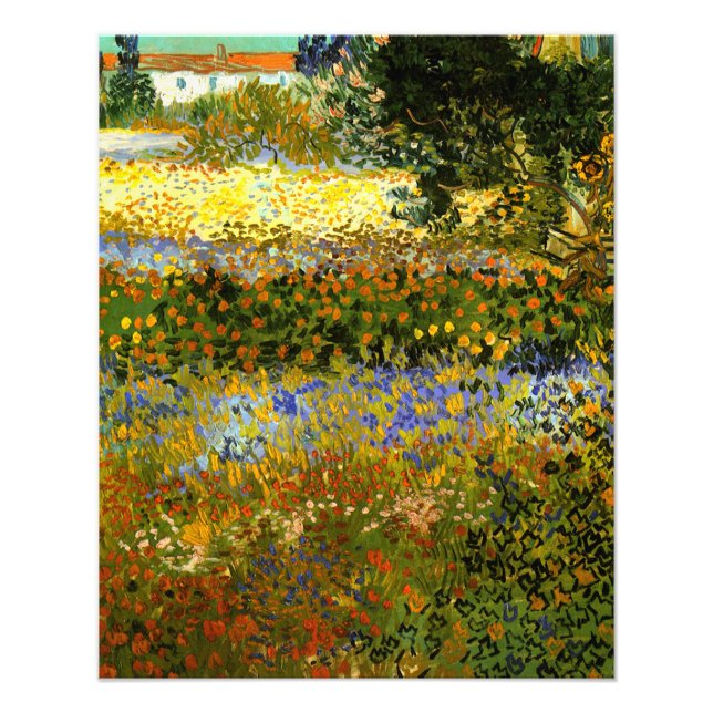 Van Gogh - Blommar Garden, Impressionism Fototryck (Framsidan)