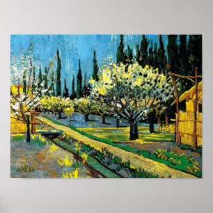 van gogh - Blommar Orchard Poster