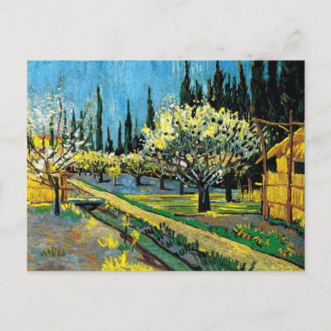 van gogh - Blommar Orchard Vykort (Framsida)