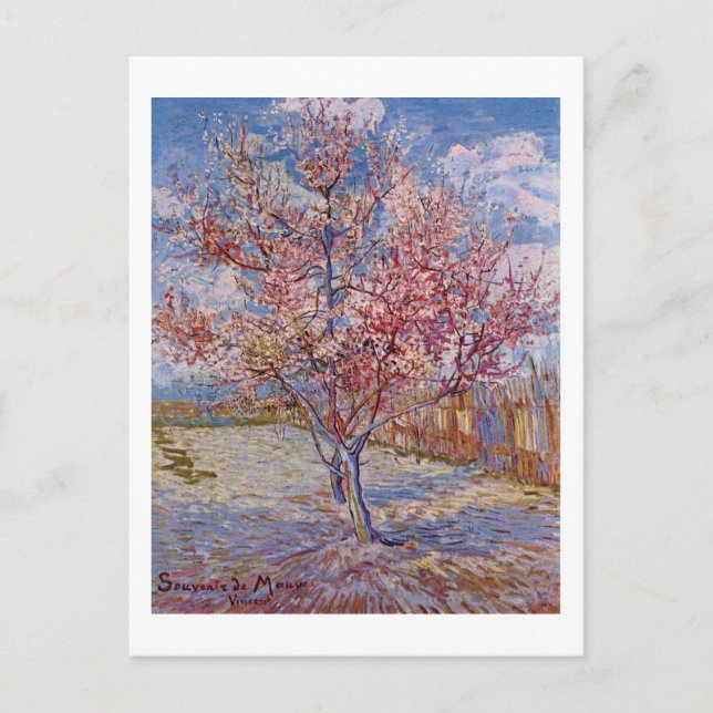 Van Gogh | Blommar Peach Träd | Ny adress Meddelande Vykort (Framsida)