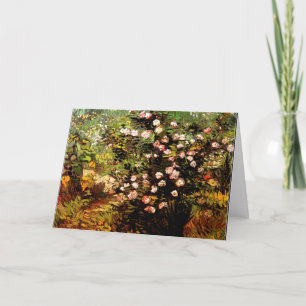 Van Gogh - Blooming Ro Bush Kort