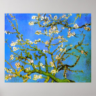 Van Gogh: Blossoming Almond Träd Grenar Poster