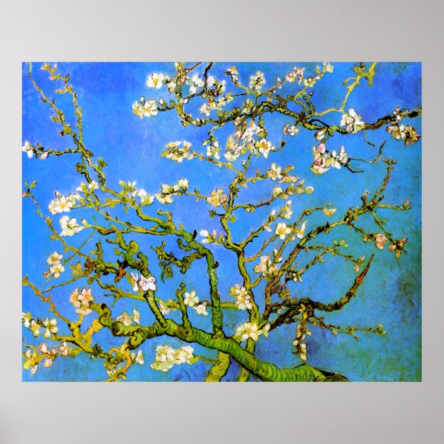 Van Gogh: Blossoming Almond Träd Grenar Poster (Framsidan)