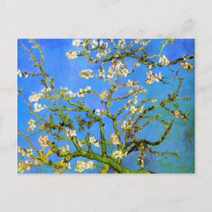 Van Gogh: Blossoming Almond Träd Grenar Vykort