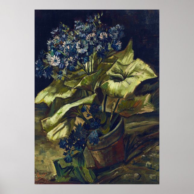 Van Gogh Cineraria i en blomkruka Poster (Framsidan)