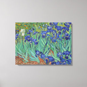 Van Gogh Classic Painting Irises Blommigt Botanica Canvastryck