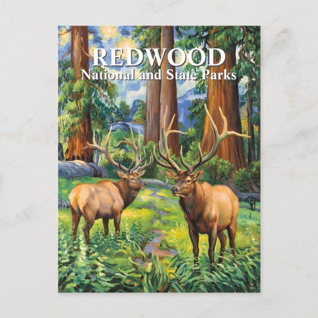 Van Gogh Elk Redwood California Forest Custom Text Vykort (Framsida)