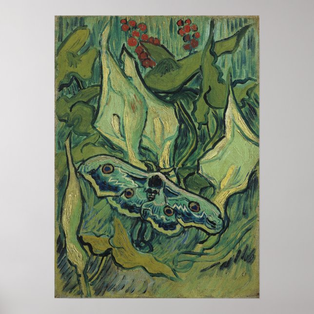 Van Gogh - Emperor Moth Poster (Framsidan)