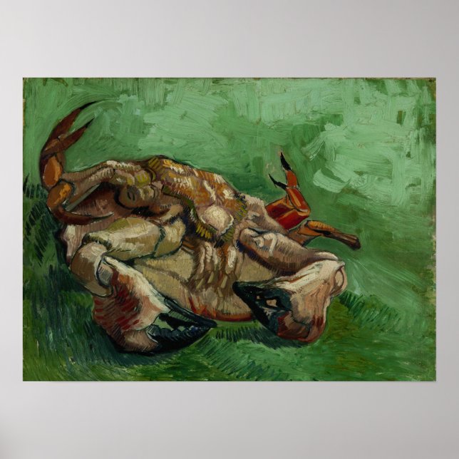 Van Gogh - En Krabba På Rygg Poster (Framsidan)