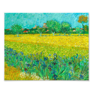 Van Gogh Fält med Irises Near Arles Fototryck