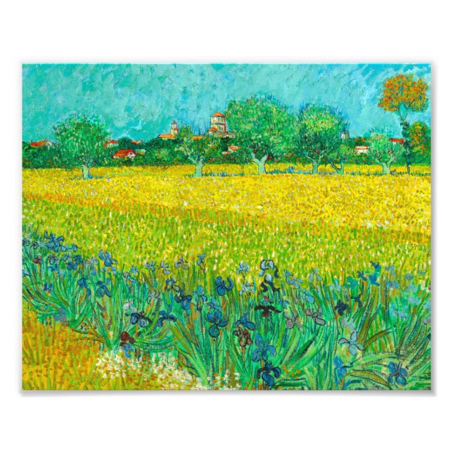 Van Gogh Fält med Irises Near Arles Fototryck (Framsidan)