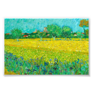 Van Gogh Fält med Irises Near Arles Fototryck