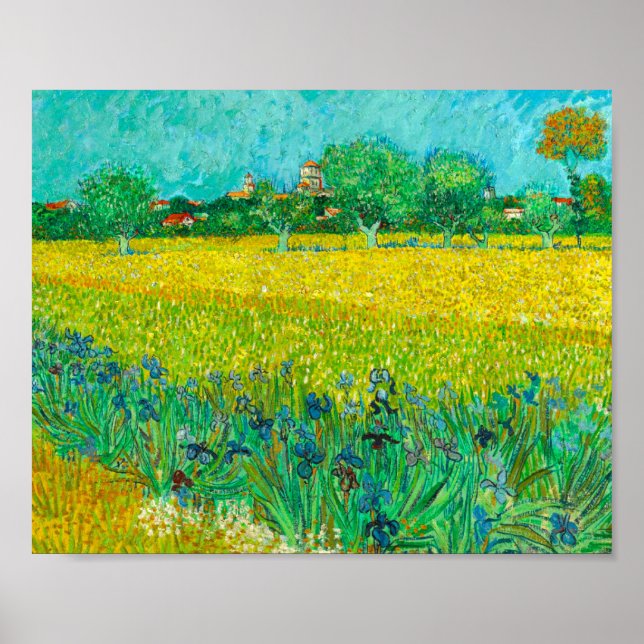 Van Gogh Fält med Irises Near Arles Poster (Framsidan)