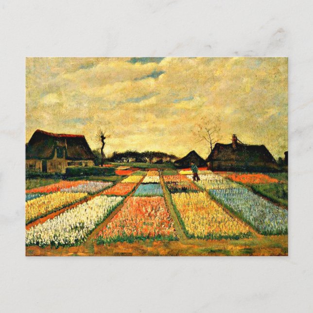 Van Gogh - Flower Beds i Nederländerna Vykort (Framsida)